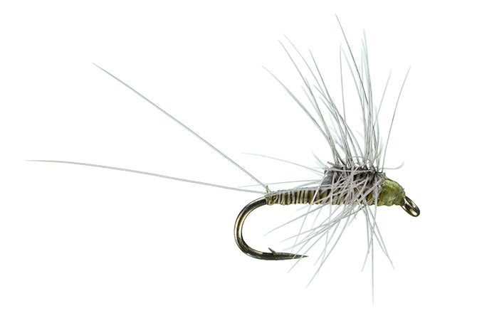 Sheets' Quill Stacker Olive