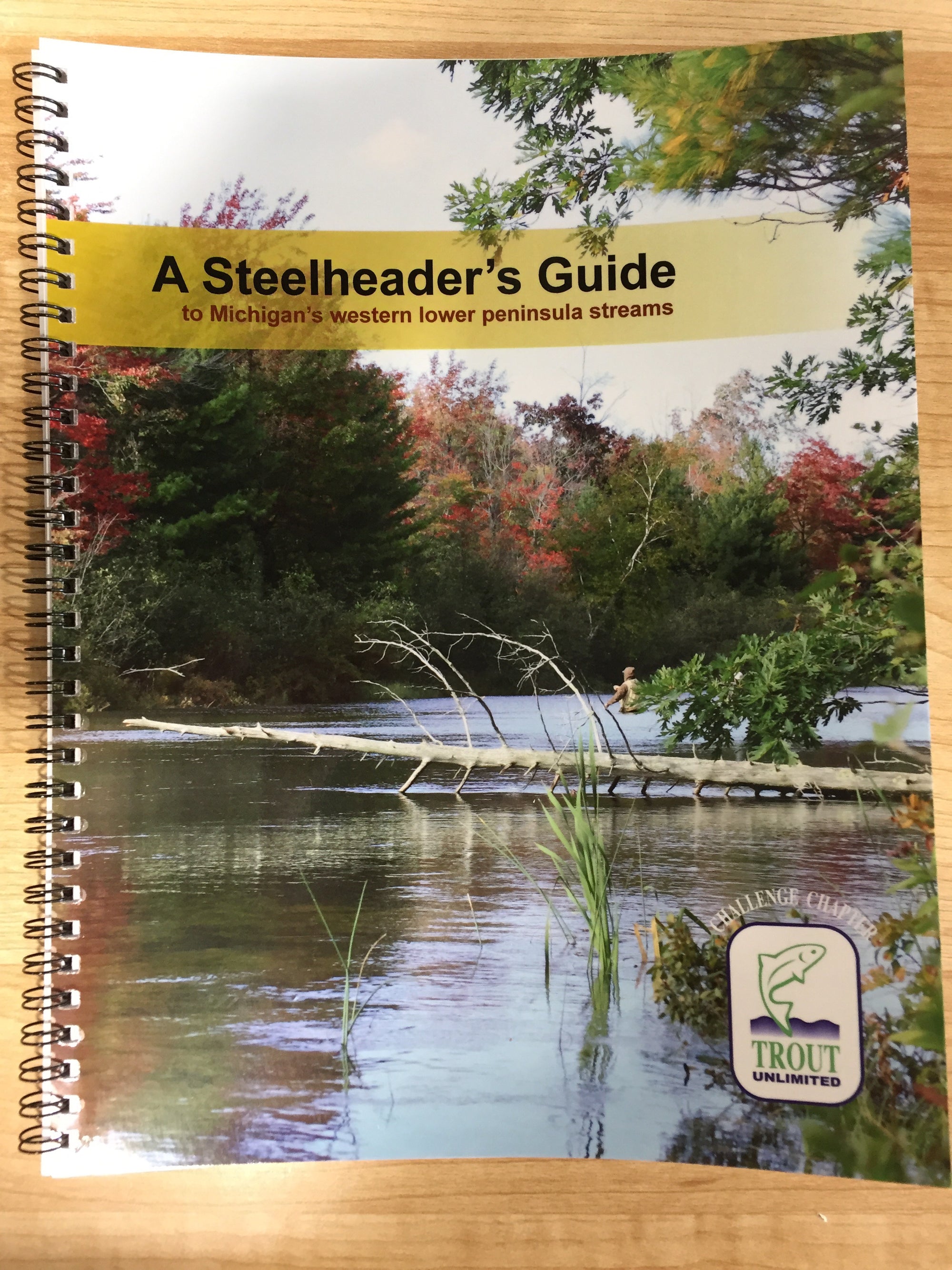 Steelheader's Guide to Michigan