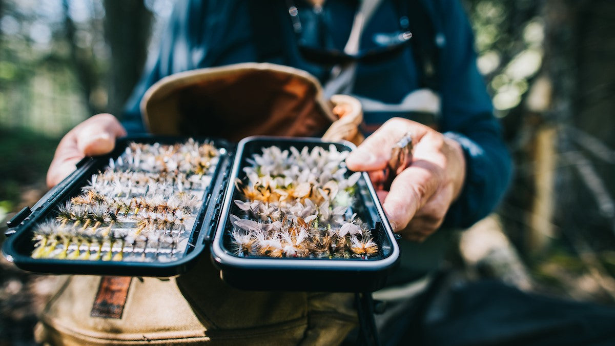 Fly Boxes - Motor City Anglers