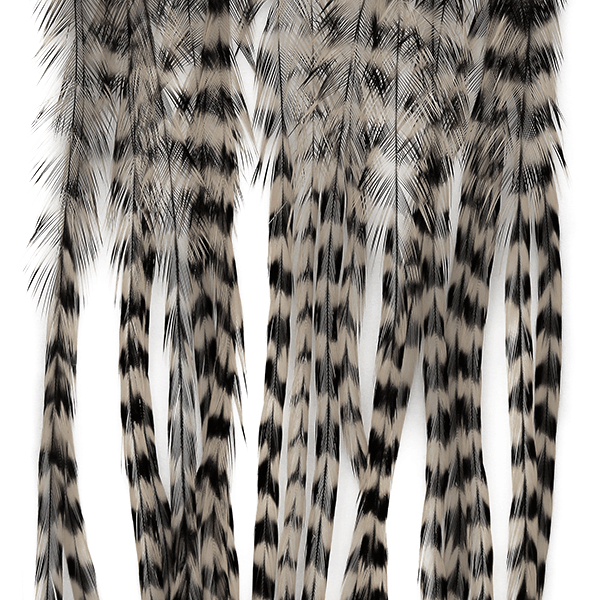 Whiting Farms 100 Dry Fly Pack