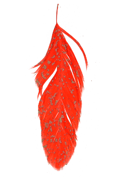 MFC Mottled Schlappen