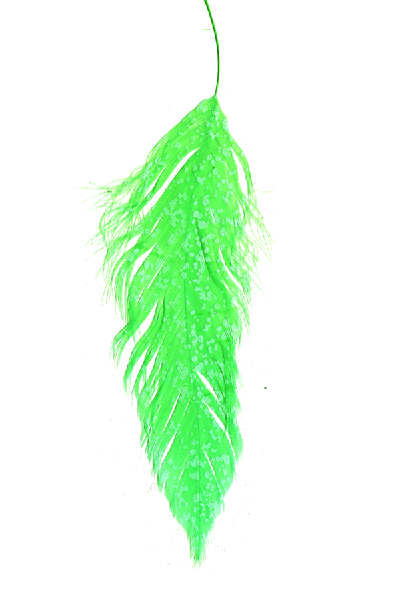 MFC Mottled Schlappen