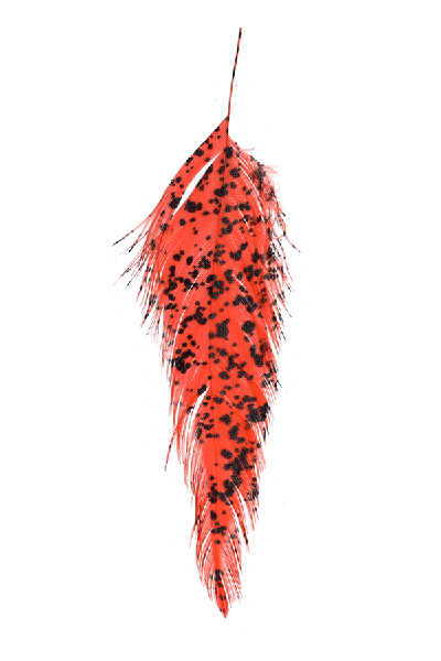 MFC Mottled Schlappen