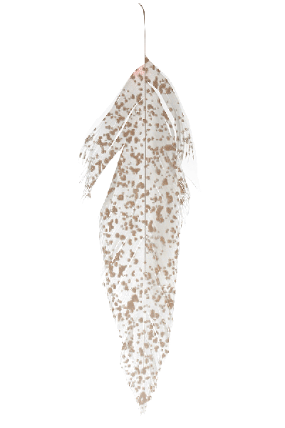 MFC Mottled Schlappen