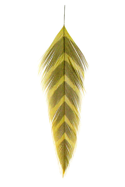 MFC Galloup&#39;s Fish Feathers - Arrowhead