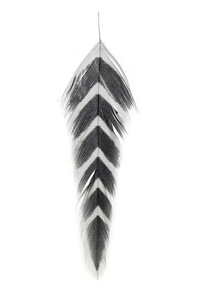 MFC Galloup&#39;s Fish Feathers - Arrowhead