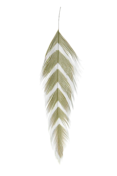 MFC Galloup&#39;s Fish Feathers - Arrowhead