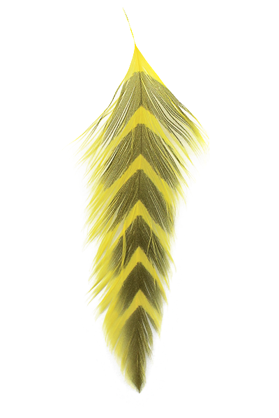 MFC Galloup&#39;s Fish Feathers - Arrowhead