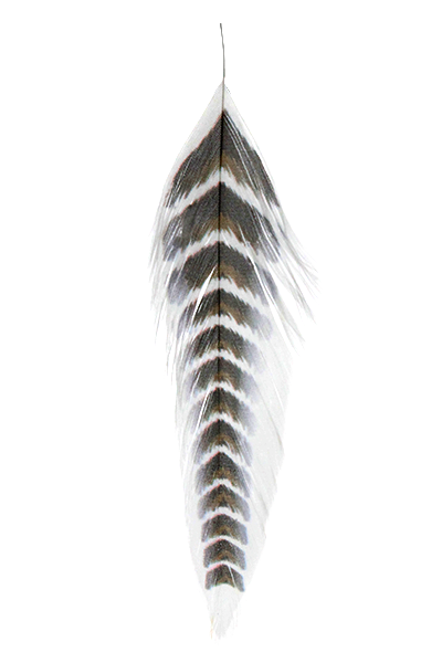 MFC Galloup&#39;s Fish Feathers - Grizzled
