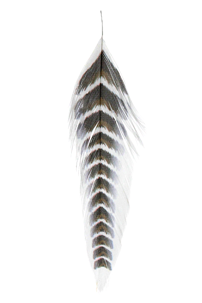 MFC Galloup's Fish Feathers - Grizzled