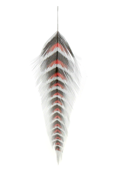 MFC Galloup&#39;s Fish Feathers - Grizzled