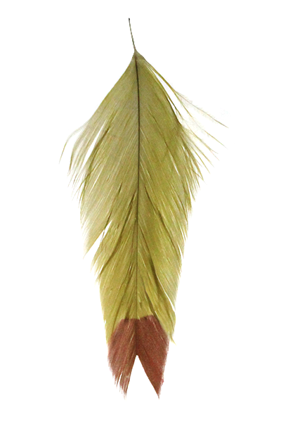 MFC Galloup&#39;s Fish Feathers - Fin Tip