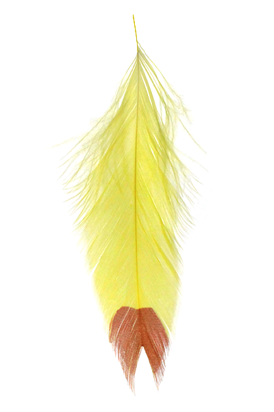 MFC Galloup&#39;s Fish Feathers - Fin Tip
