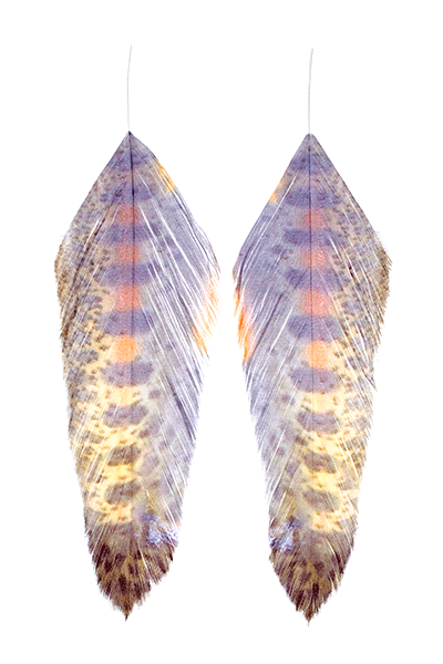 MFC Fish Feathers Juvy Rainbow