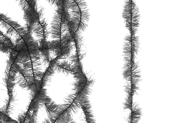 MFC Senyo&#39;s Super Satin Chenille