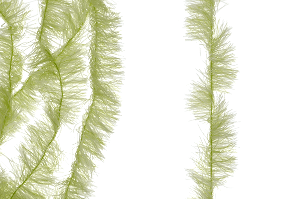 MFC Senyo&#39;s Super Satin Chenille