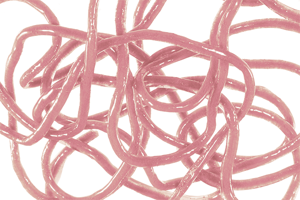 Trina&#39;s Squirm Material