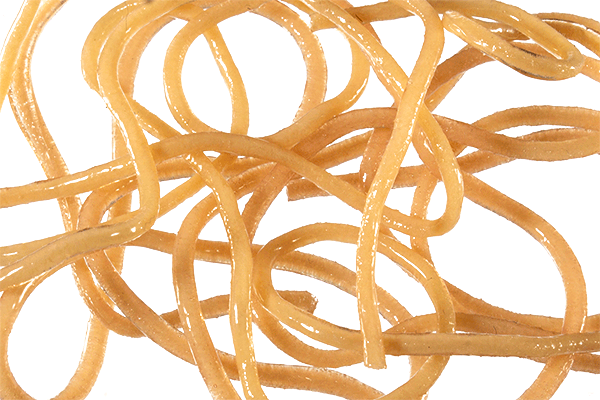 Trina&#39;s Squirm Material