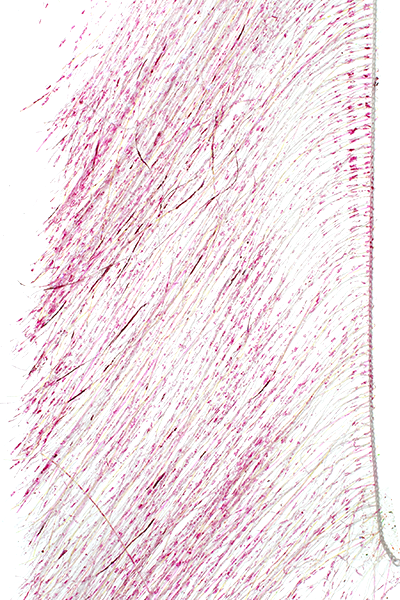 Senyo's Predator Wrap, Pearl - Barred Pink, close-up of the wrap fibers