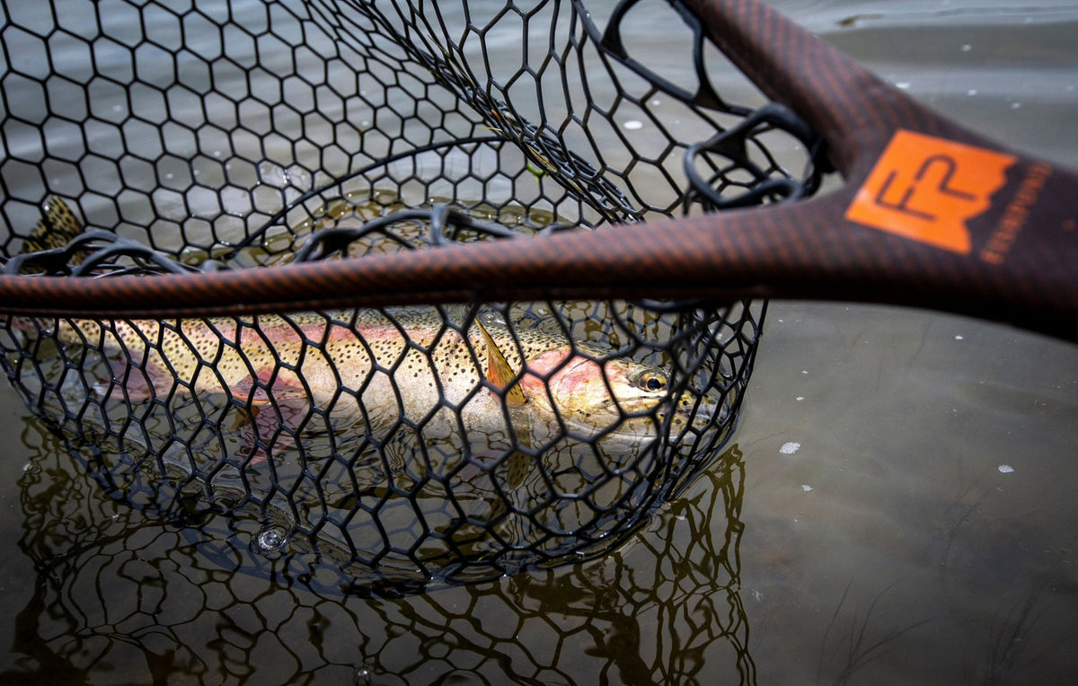 Fishpond Nomad El Jefe Grande - 2.0, River Armor, close-up of trout in the net