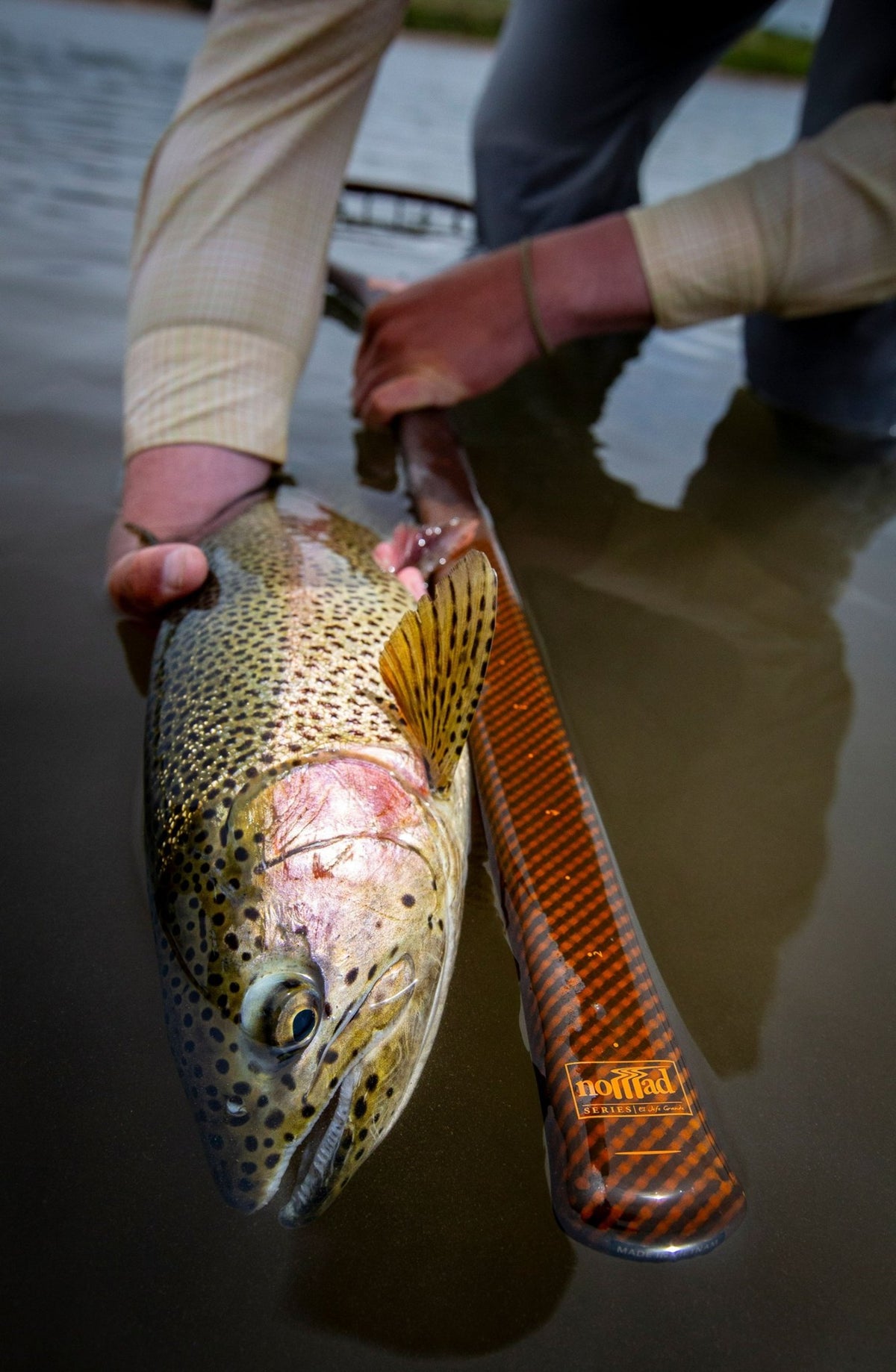 Fishpond Nomad El Jefe Grande - 2.0, River Armor, angler holding trout beside the handle