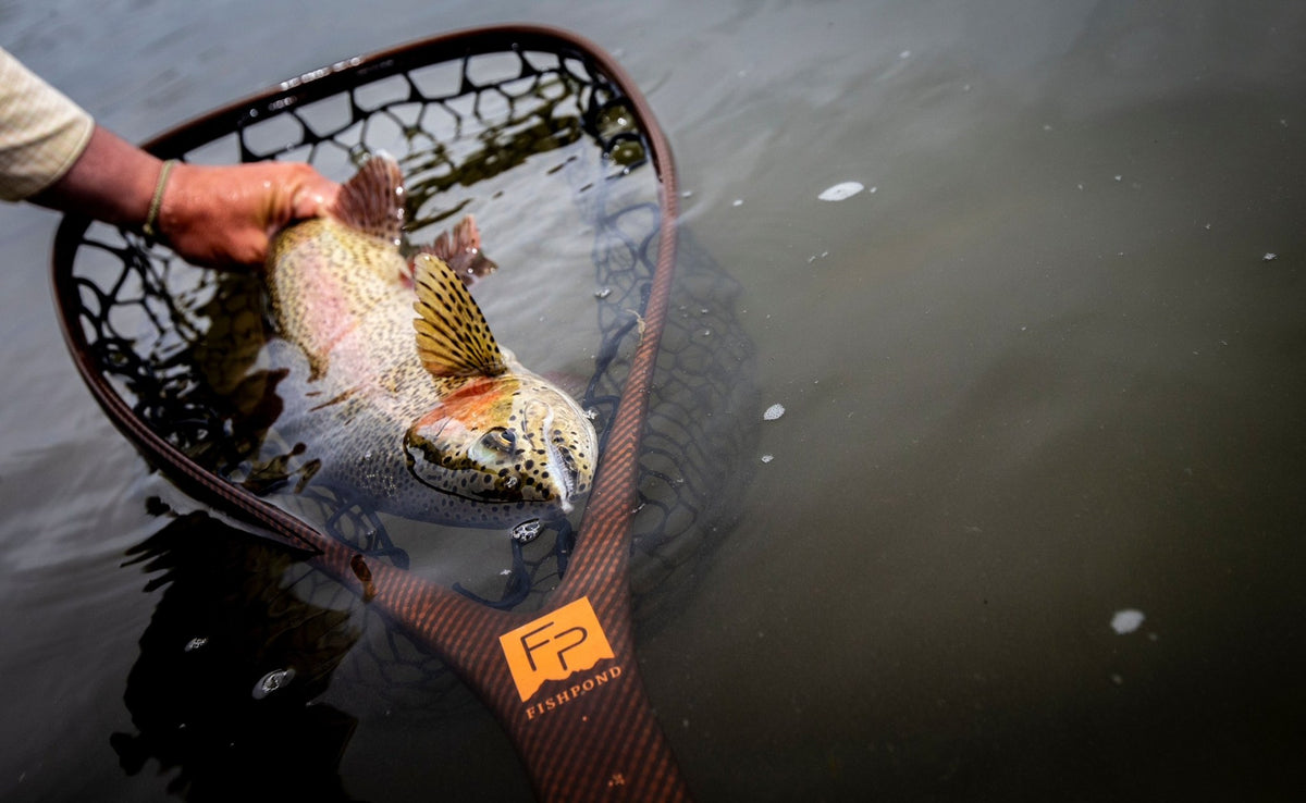 Fishpond Nomad El Jefe Grande - 2.0, River Armor, trout in the net