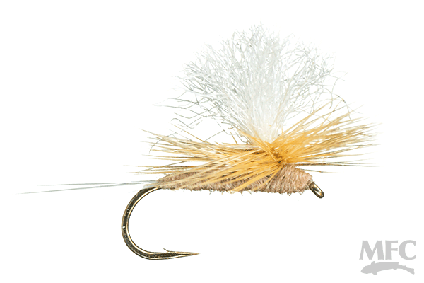 Parachute Pink Albert | Motor City Anglers