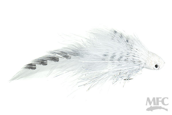 Galloup&#39;s Flat Head Kitty