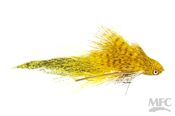 Galloup&#39;s Flat Head Kitty