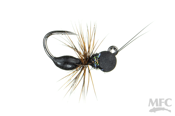 Galloup&#39;s Drowned Black Ant