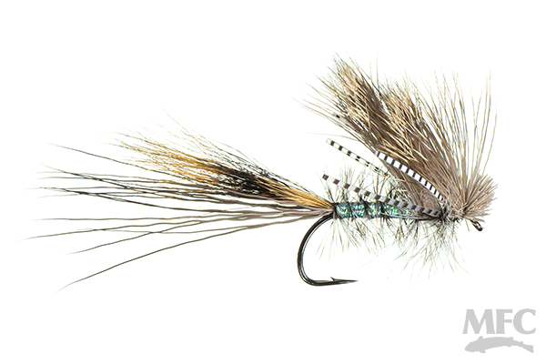 Maddin&#39;s Ooggie Boogie Tan