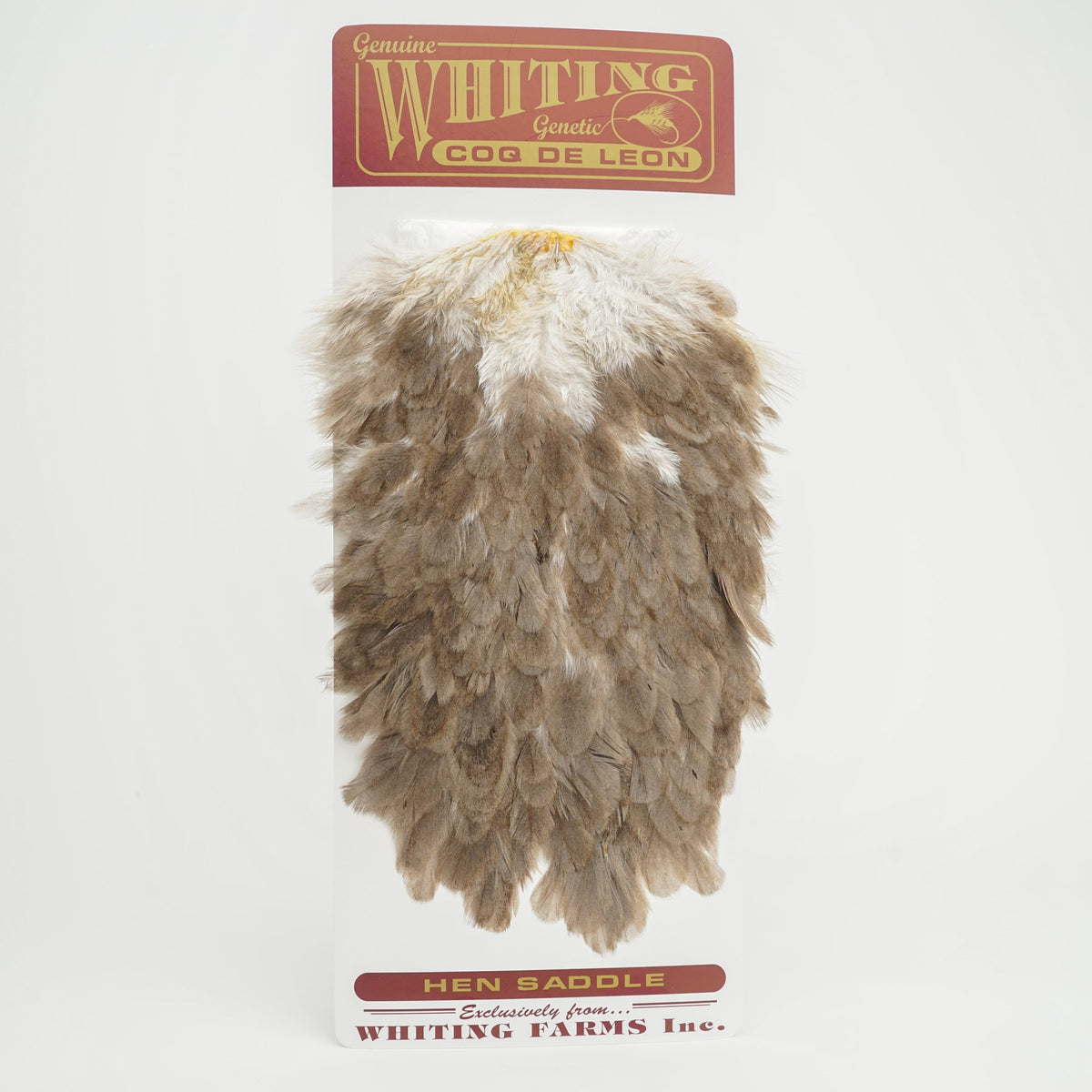 Whiting Farms Coq de Leon Hen Saddle