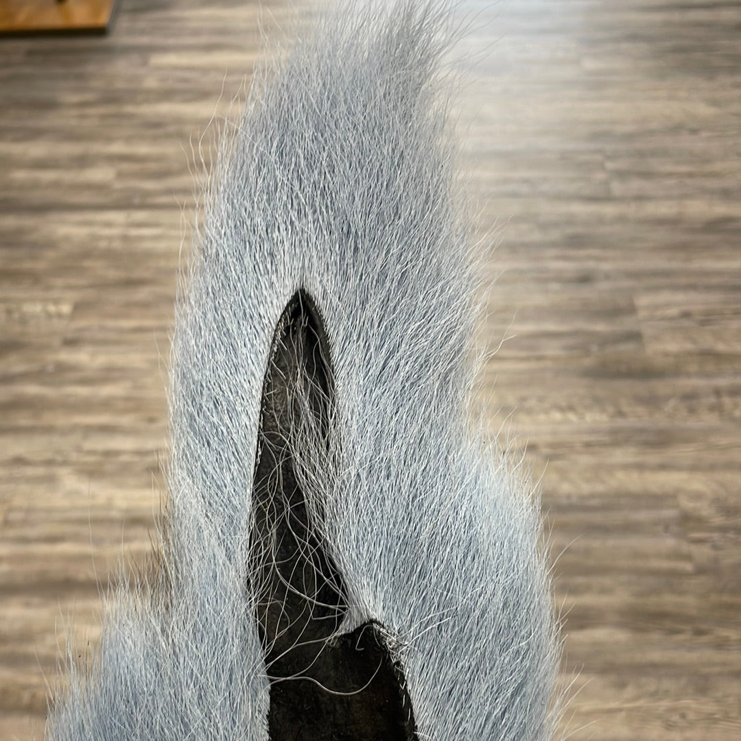 Midwest Premium Bucktail