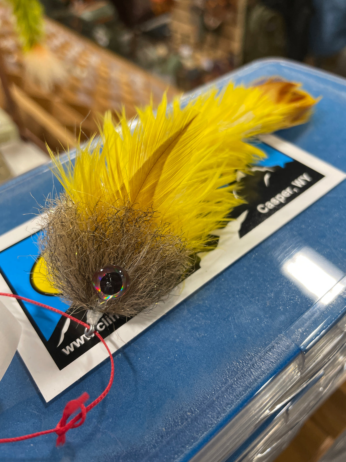 Feather Game Changers
