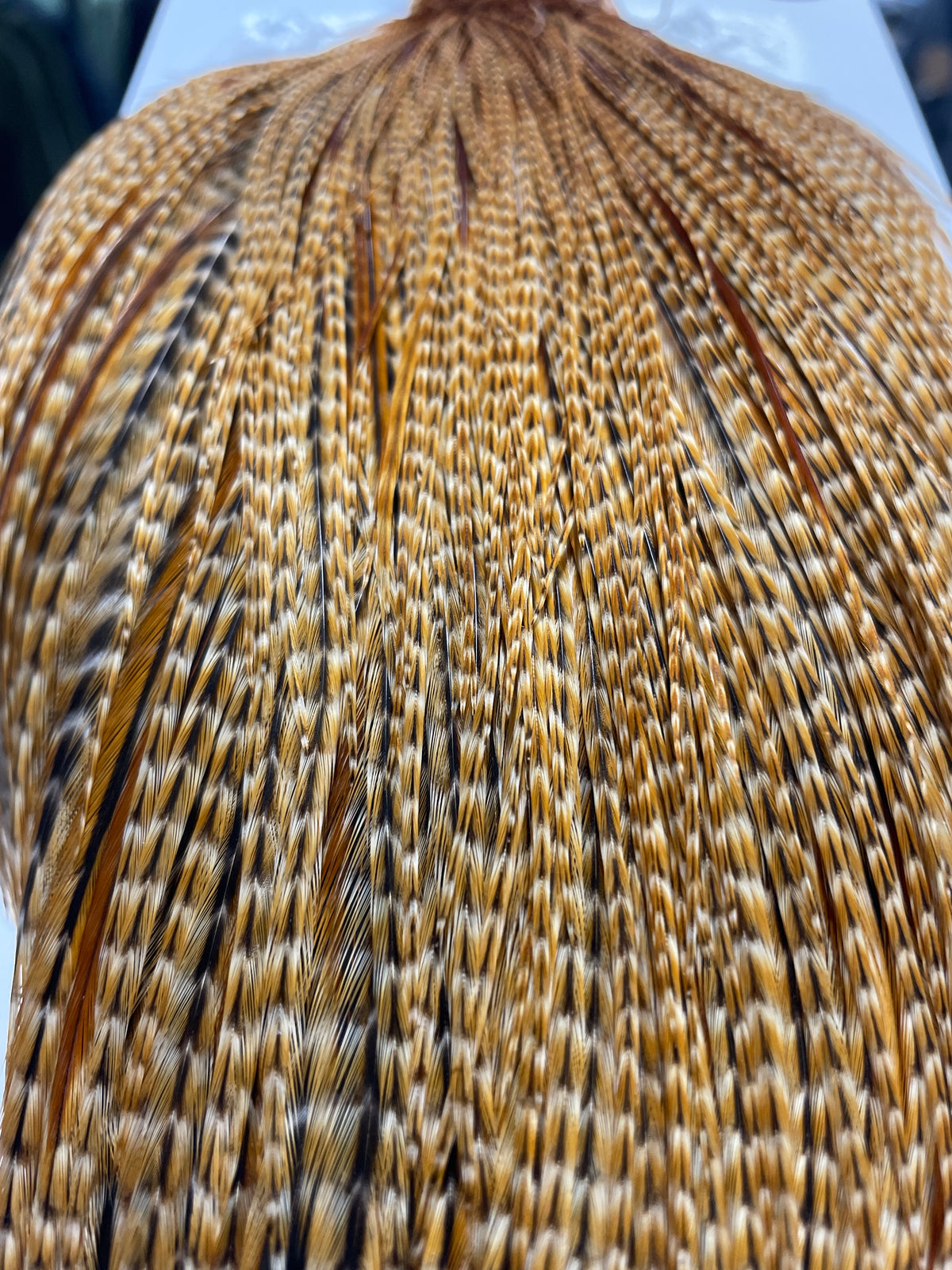 Whiting Farms Bronze Dry Fly Cape