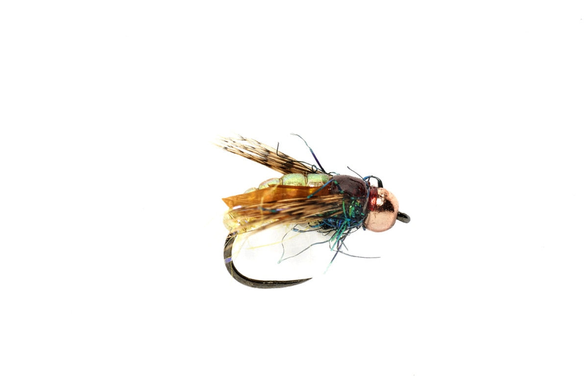 Newbury's Yellow Formula 2 Caddis 14