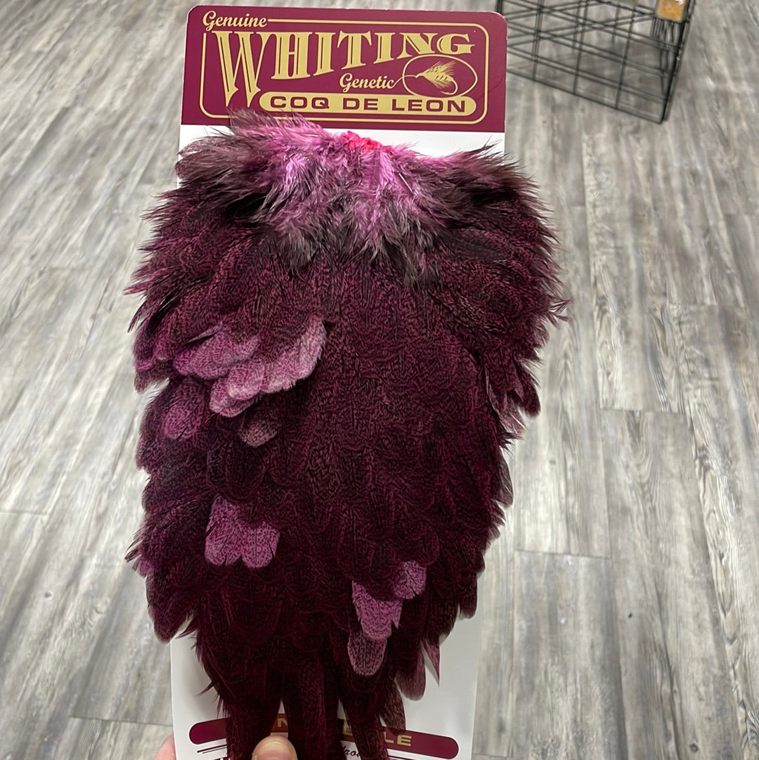 Whiting Farms Coq de Leon Hen Saddle