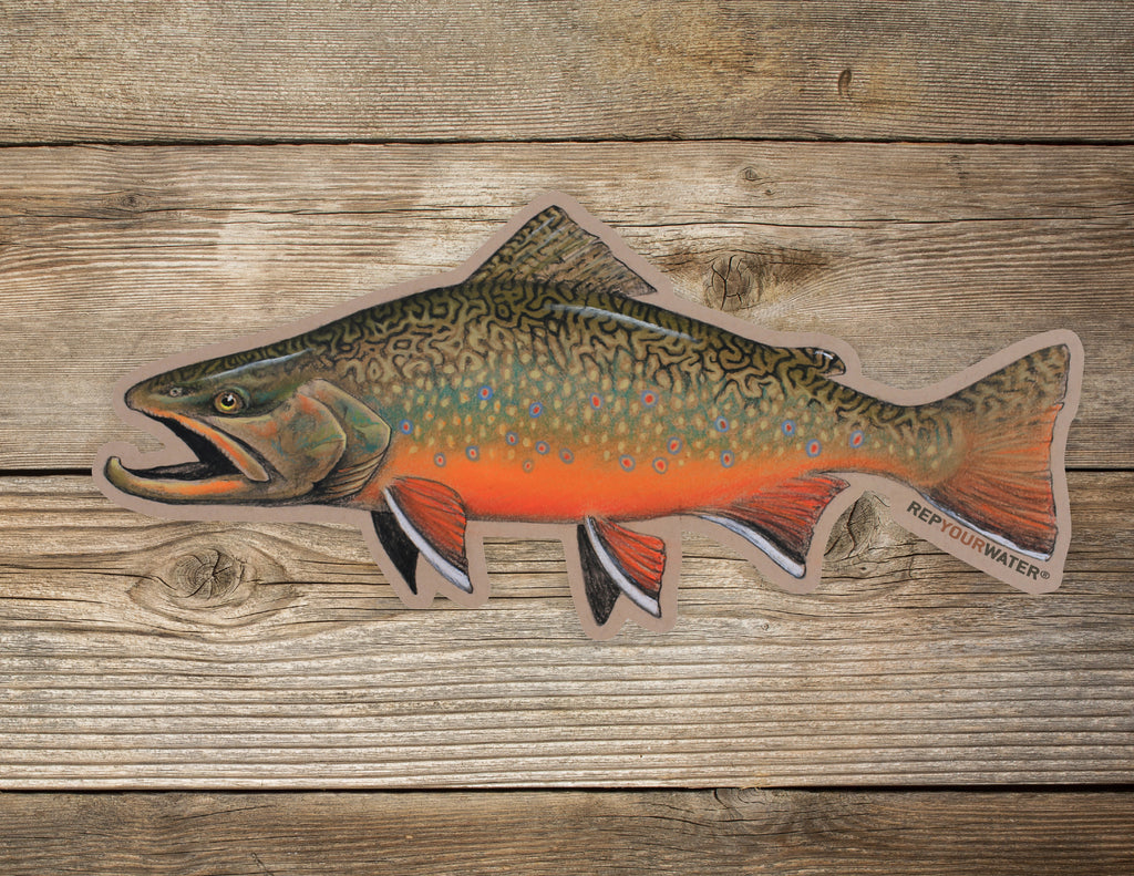 Rep Your Water Fall Brookie Artist's Reserve Sticker