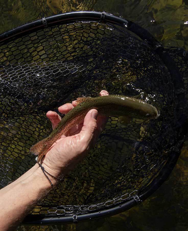 Loon Outdoors Boat Net