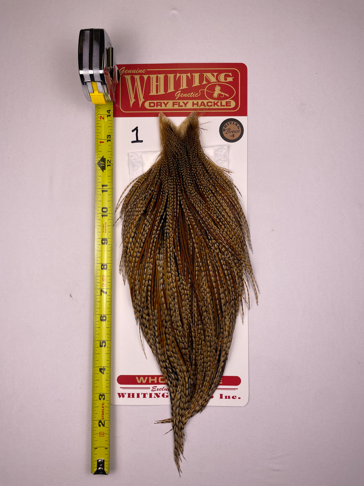 Whiting Bronze Cape Cree #1
