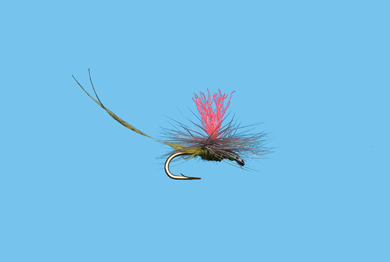 BWO Hatch Matcher