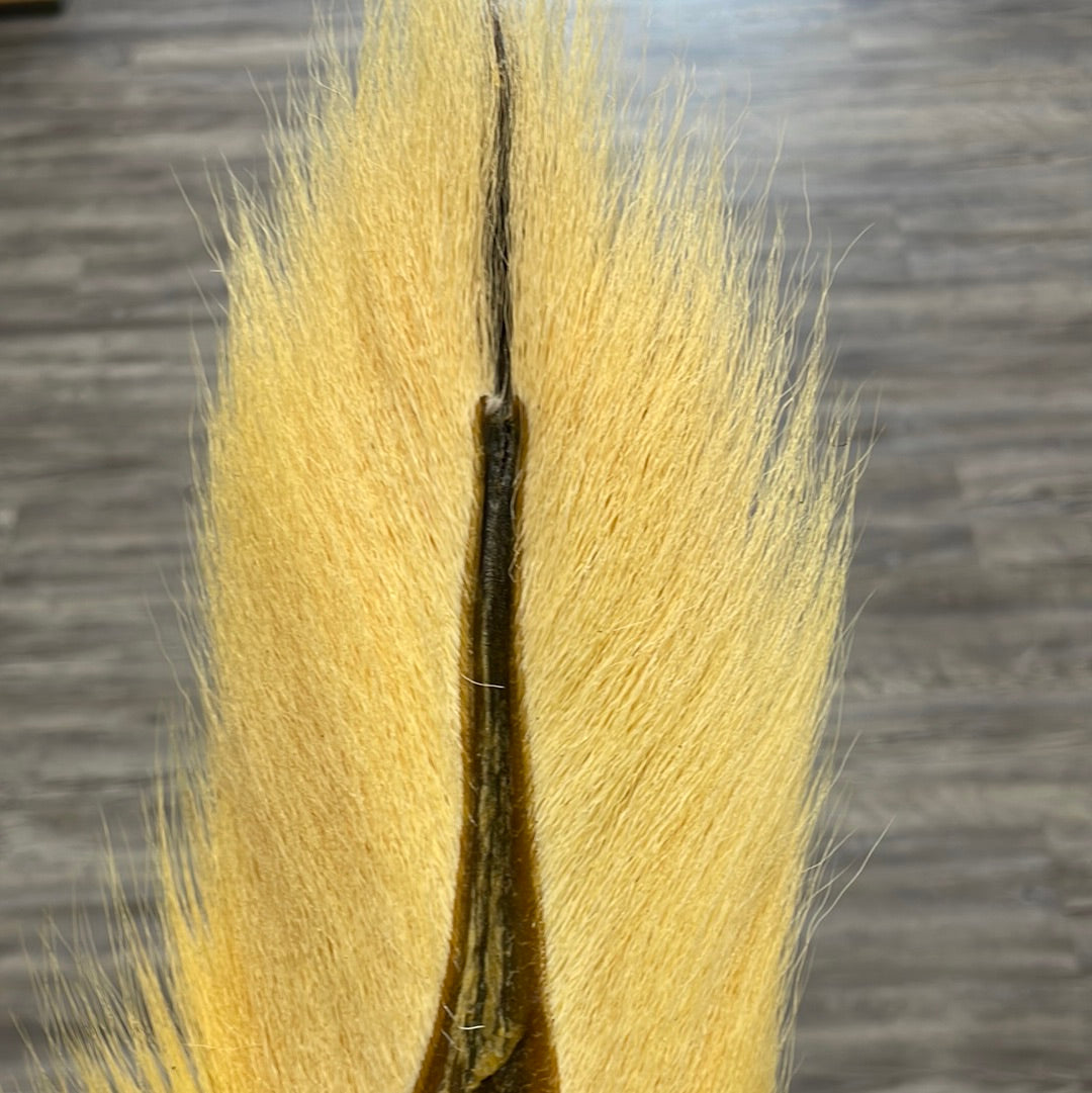 Midwest Premium Bucktail