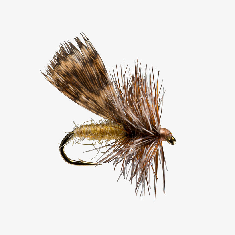 Spent Partridge Tan Caddis