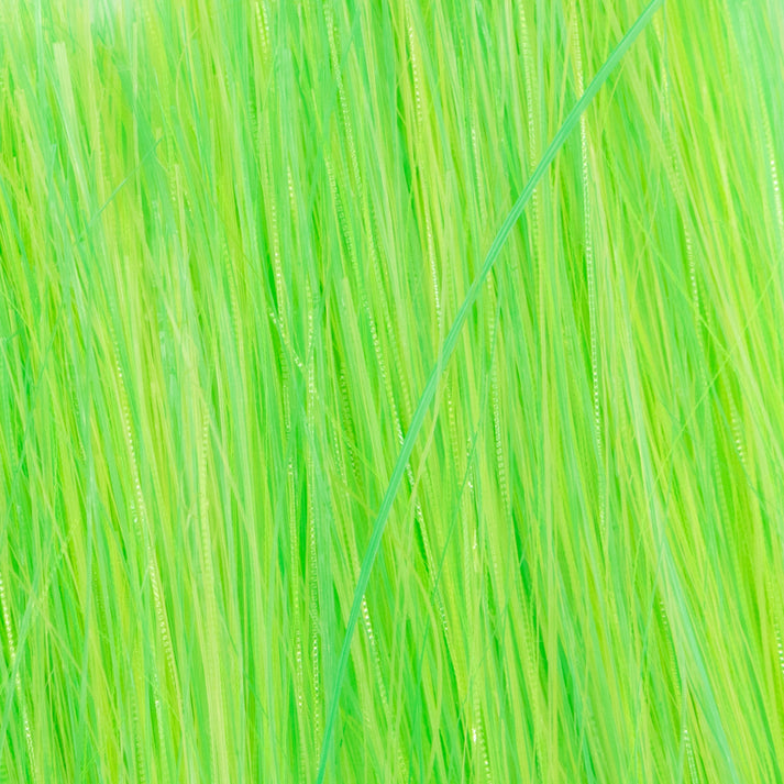 Translucy Brush Fiber