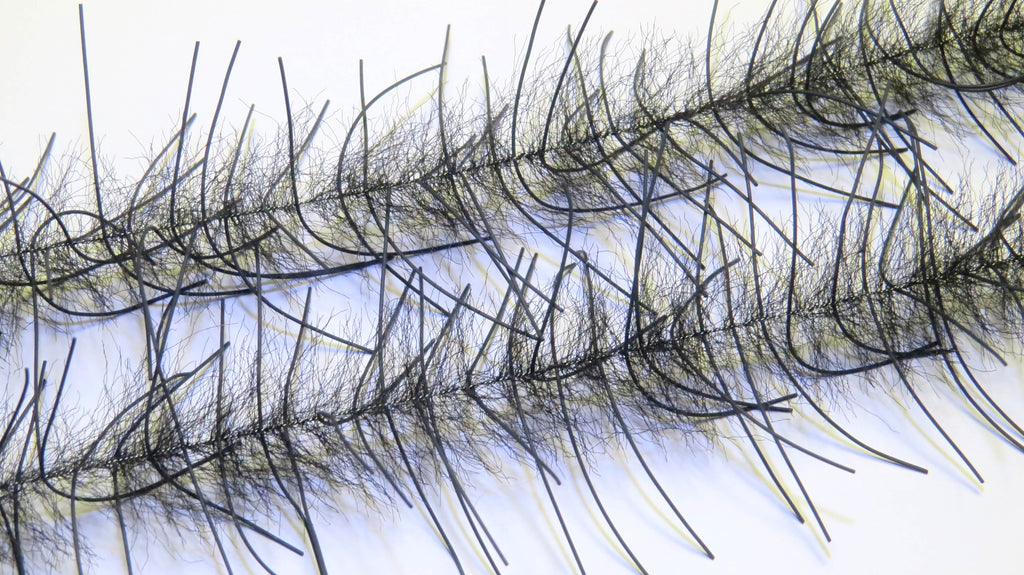 Lively Legs Crustacean Brush