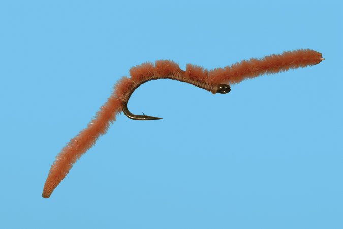 San Juan Worm