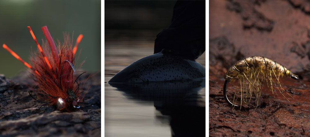 Ahrex Ns172 Nordic Salt Gammarus Hook