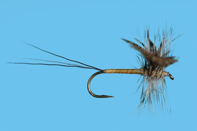 Gray Drake Hackled Spinner - 12