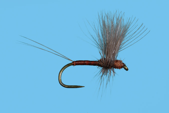 CDC Thorax Red Quill