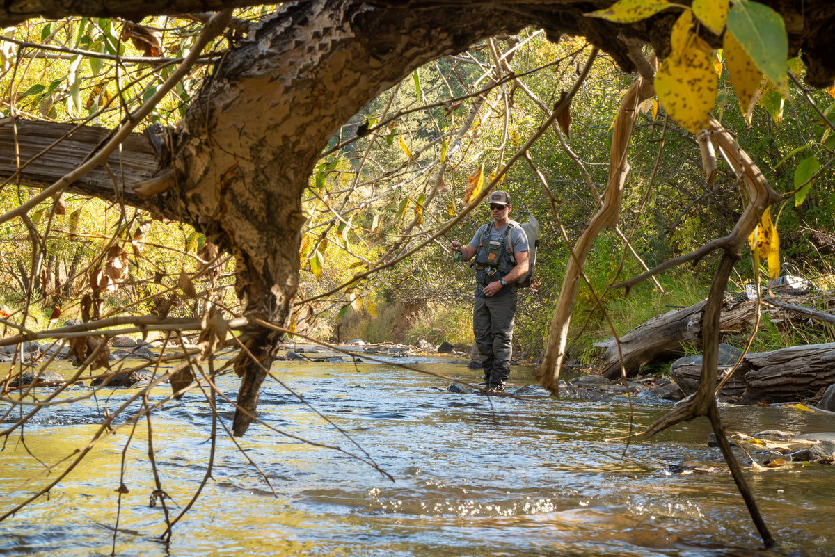 Fishpond Stormshadow Chest Pack - Green